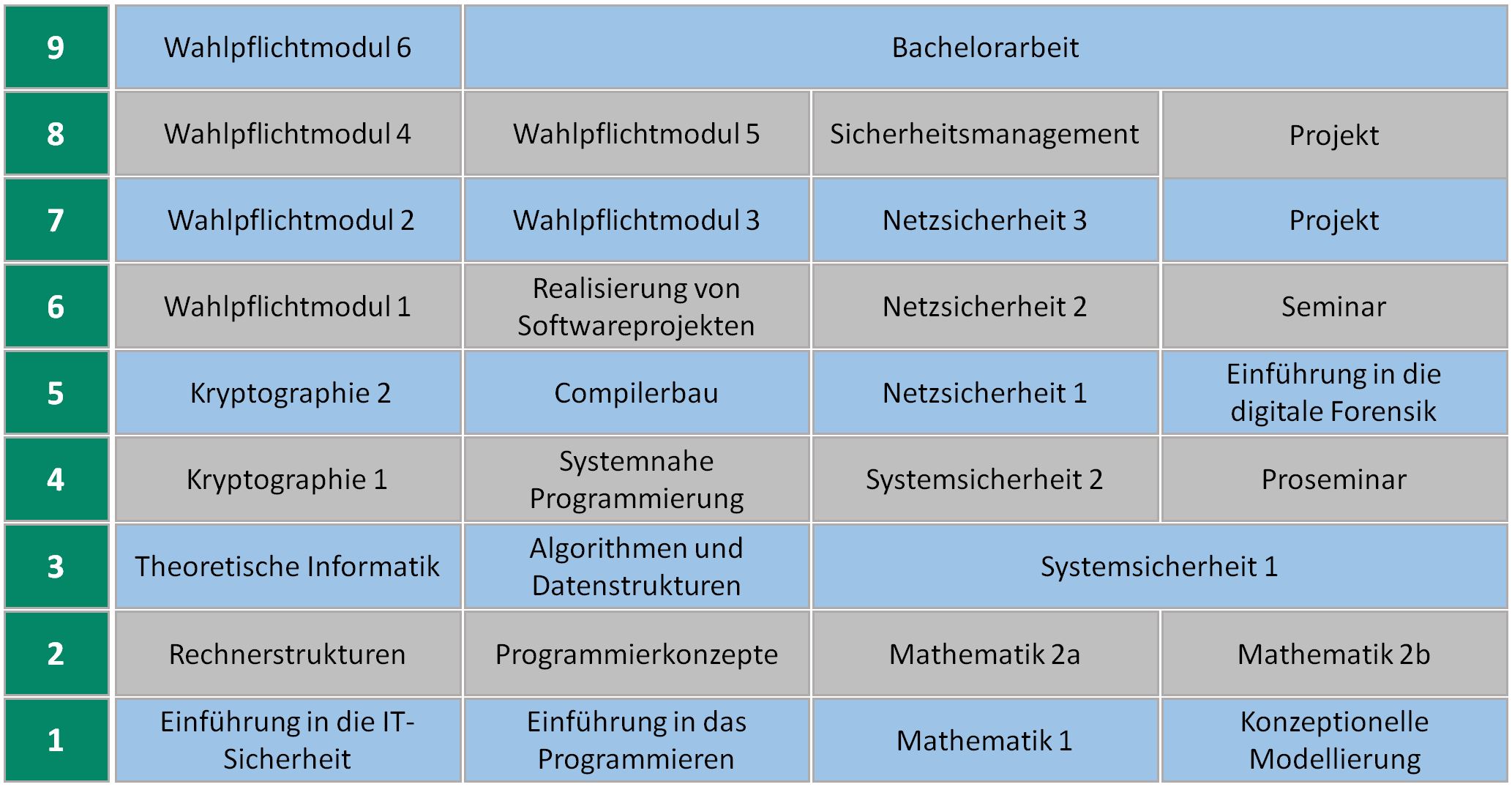 Curriculum des Studiengangs